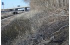 Property photo 3 - East Allen County - 55 Acre Land Auction